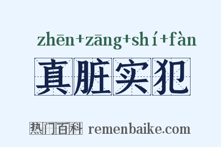 真脏实犯是什么意思的图片